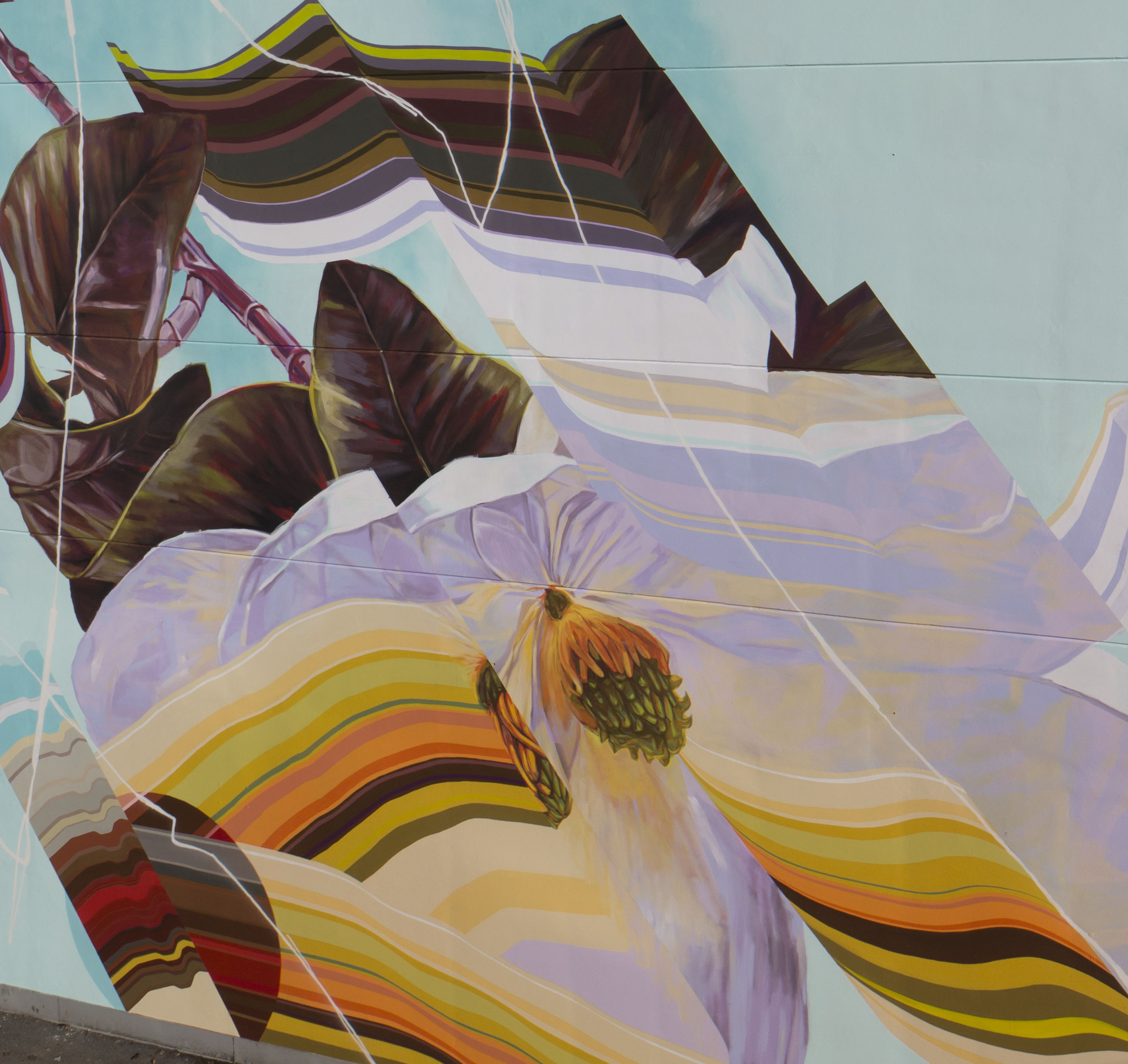 Drifter_Final_DrewYoung_crop2_website