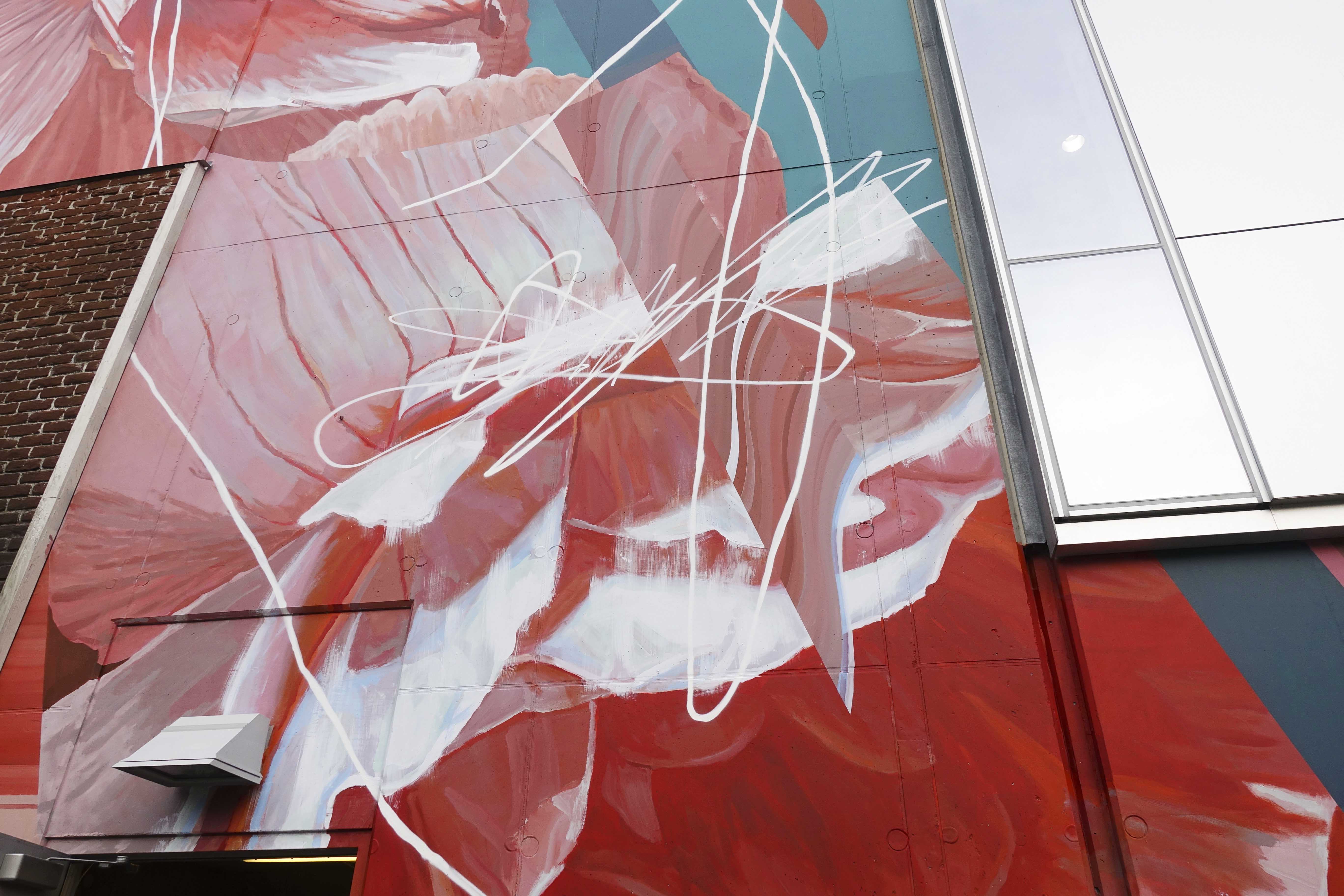 flutter_crop1_drewyoung_vancouver_mural